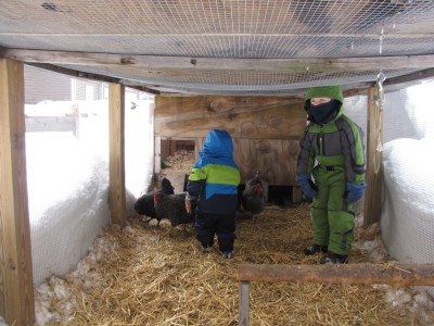 Harvey and Zion in the chicken run wearing snow suits