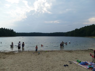the late-afternoon beach at Walden pond