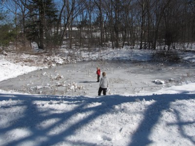 Zion and Harvey testing the ice on a little pond
