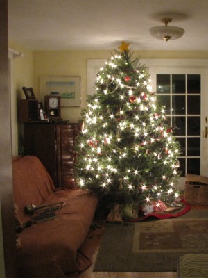 our Christmas tree, illuminated