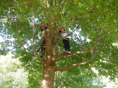 Elijah and Kamilah in a tree
