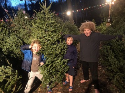 the boys doing silly poses among Christmas trees