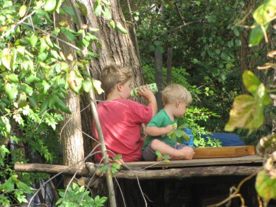 Harvey and Zion picnicking on their tree house platform