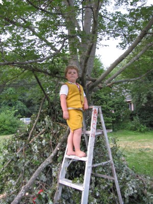 Harvey in arvey his king costume standing on top of a ladder by the tree fort