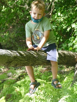Elijah sitting astride a tree limb