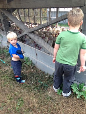 Zion and Harvey at a farm looking at a pen full of turkeys