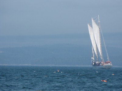 a schooner sailing away from us, among lobster bouys