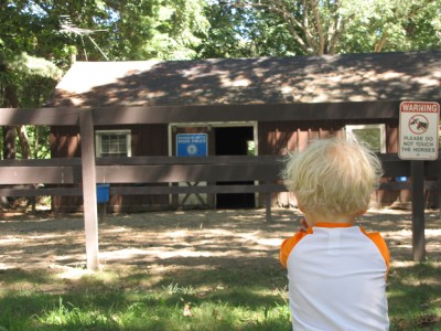 Zion looking at the empty State Police horse barn