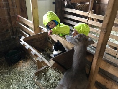 Zion and Lijah playing with a cat in a barn feeding trough