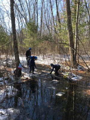 the kids playing around a giant puddle in the woods with a little ice on it