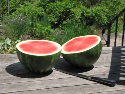 two halves of a watermelon on the back porch