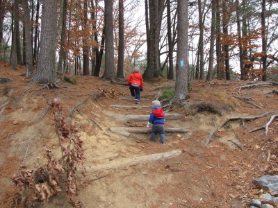 the boys climbing up timber stairs set into a steep hillside in the woods
