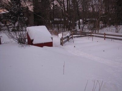 the garden and chicken coop in a lot of snow