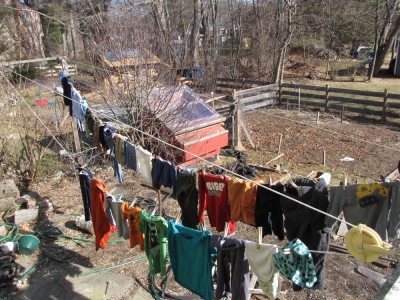 clothes hanging on the line