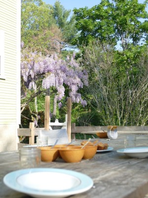 the outside table set for breakfast in front of the wisteria