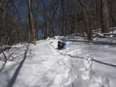 Harvey sledding down a path in the woods