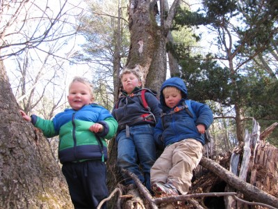 the three boys in a tree