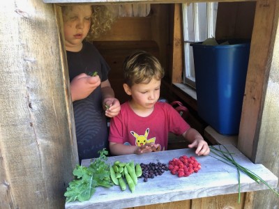 Harvey and Lijah laying out a harvest of berries and veggies on the playhouse counter