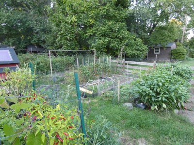 the garden on September 15