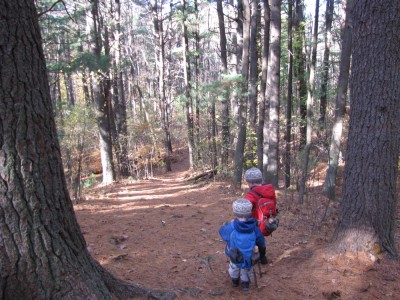 Harvey and Zion hiking down a sloping path in the pines