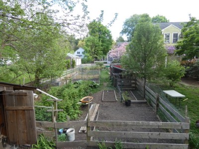 the garden as seen from the roof of the sandbox