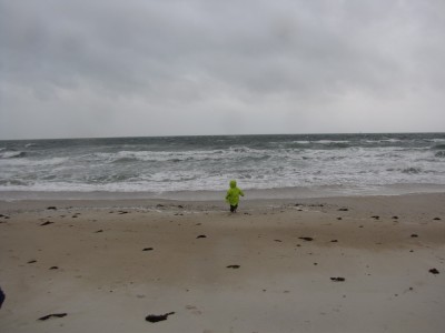 Zion walking towards the gray stormy ocean