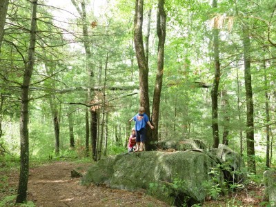 Zion and Elijah climbing on a rock in the woods