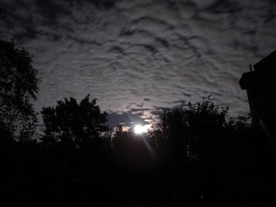the full moon rising over our backyard