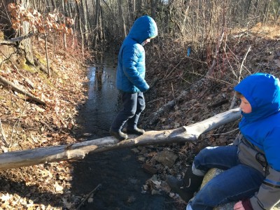 Zion walking on a log over a brook