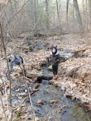 Elijah in his bat-ear sweatshirt exploring a stream in the woods