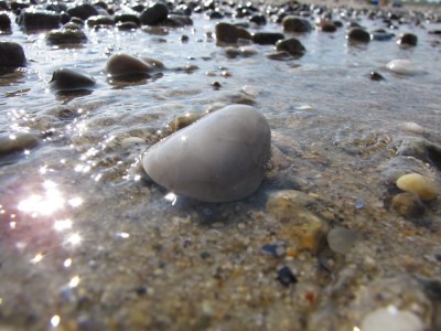 shiny stones at the waters edge, macro
