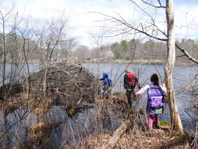 Harvey, Zion, and friend approaching a beaver lodge