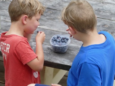 Zion and Elijah eating new-picked blueberries at the picnic table