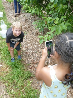 Kamilah taking a picture of Zion between the blueberry bushes