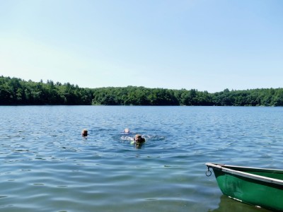 the boys swimming in the pond beyond the beached canoe