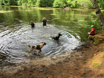 the boys splashing in the Old Reservoir with the dogs