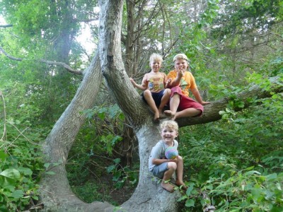 three boys sitting in a tree