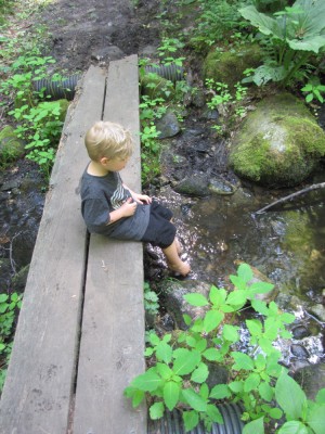 Zion pausing on a little bridge to dip his toes in a stream