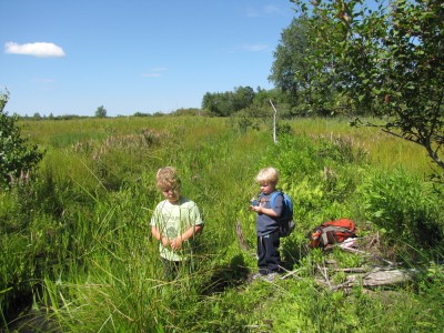 the boys standing on the meadowy bank of Hartwell brook
