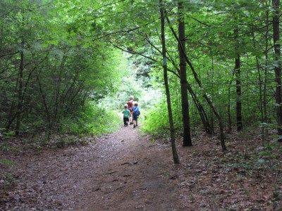 the three boys hiking way ahead of me, walking into a clearing
