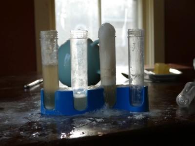 overflowing test tubes on the kitchen table