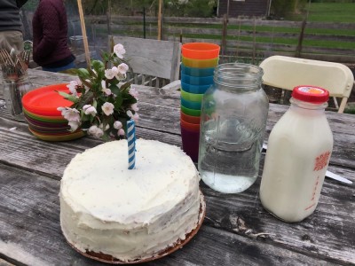 a cake with buttercream frosting and one candle on our picnic table