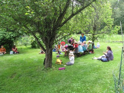 lots of kids eating lunch at and around a picnic table