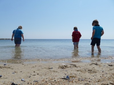 the boys wading in the smooth water of Cape Cod Bay by the canal