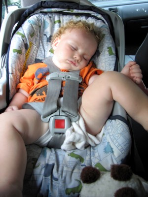 Harvey fast asleep in the car seat