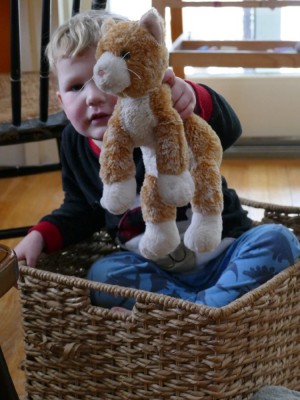 Lijah sitting in a basket holding up a toy cat