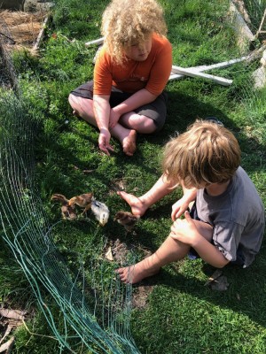 Harvey and Elijah sitting on the grass with the chicks