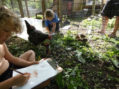 Elijah and Zion drawing the chicks in their outside pen