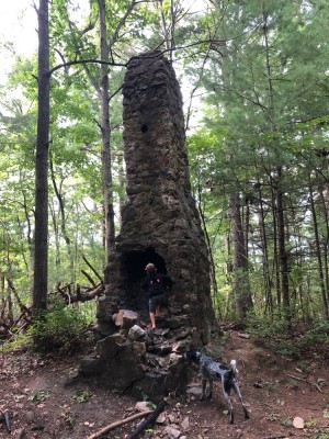 Lijah and Blue checking out a chimney in the woods