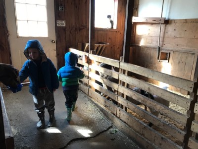 Zion and Lijah feeding the animals at Chip In